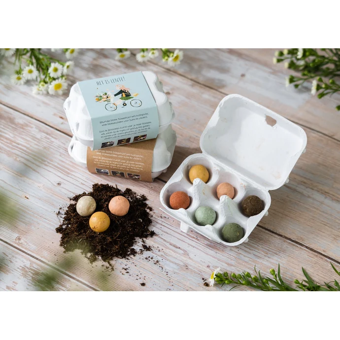Dárková sada semínek divokých květin Egg Box Hello Spring Bike – 6 ks