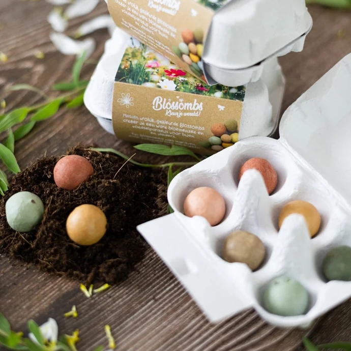 Dárková sada semínek divokých květin Egg Box – 6 ks