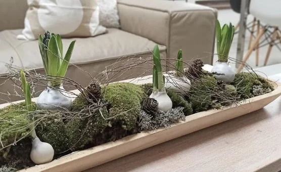 Vyrobte si trendy jarní dekoraci – voskované hyacinty
