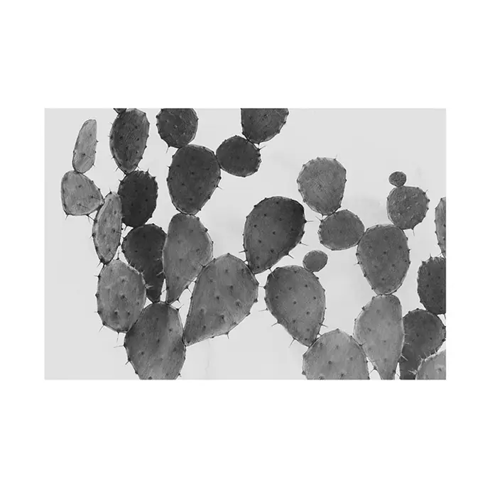 Magdalena Tyboni DESIGN / Plagát Cactus 50x70 cm