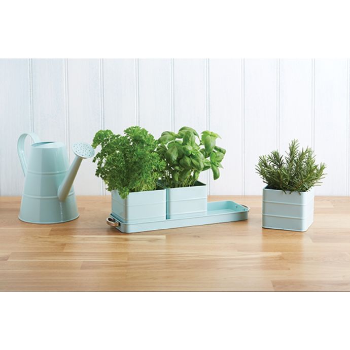 Kitchen Craft / Plechové kvetináčiky na bylinky Blue