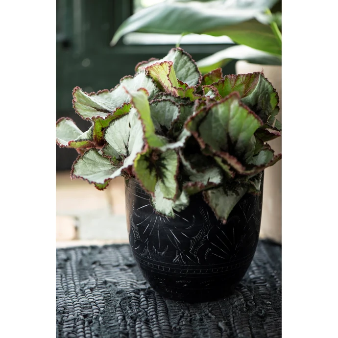 Ib Laursen / Obal na květiny Black Mystic - 12 cm