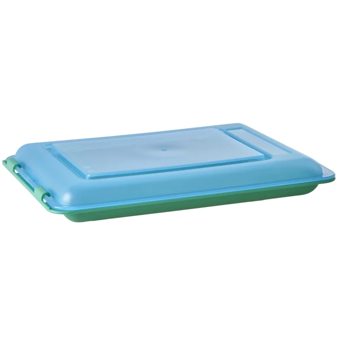 rice / Úložný box na potraviny Green / Blue 470 ml