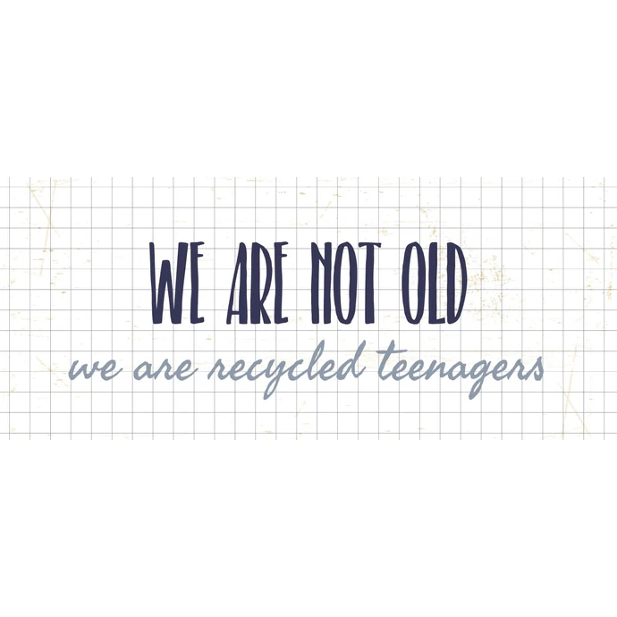 Ib Laursen / Plechová ceduľa We are not old