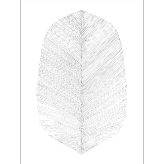 Magdalena Tyboni DESIGN / Plagát White Feather 30x40 cm