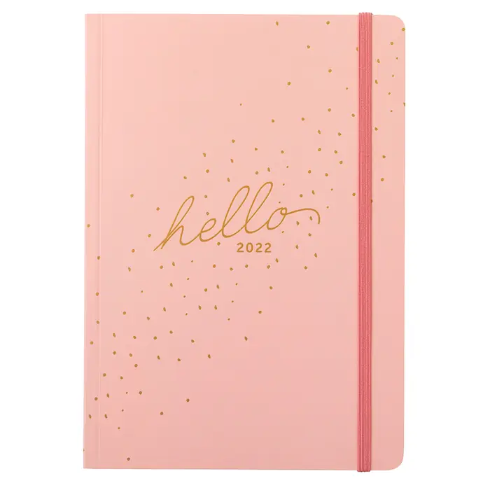 Busy B / Týdenní plánovací diář Everyday Diary Pink 2022