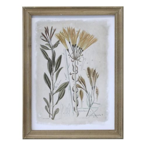 Chic Antique / Botanický obraz v rámu Floral Print Yellow 43x33 cm