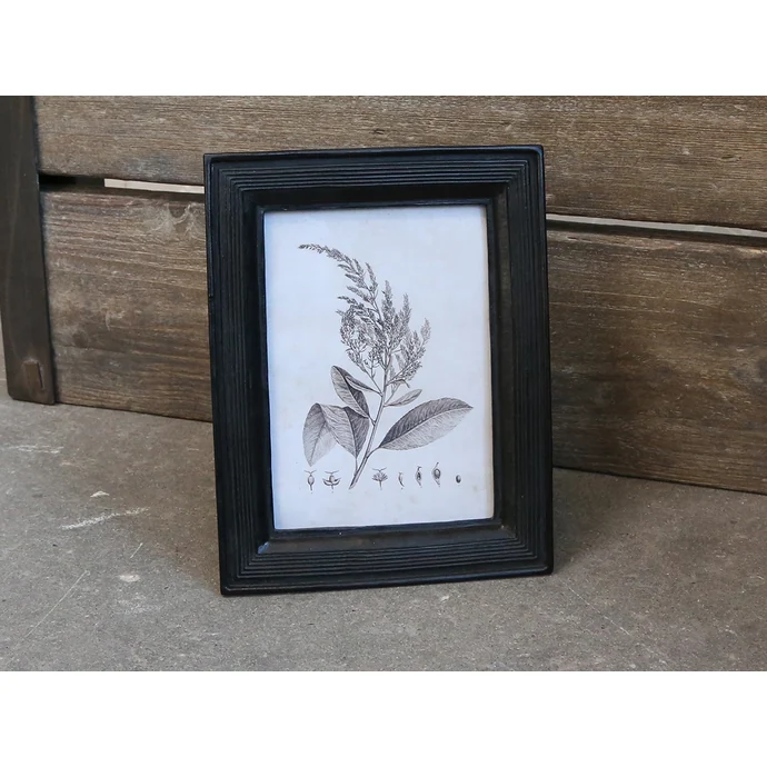 Chic Antique / Botanický obrázok v rámčeku Black 18x23 cm
