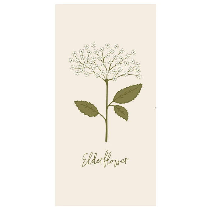 IB LAURSEN / Papierové servítky Elderflower – 16 ks