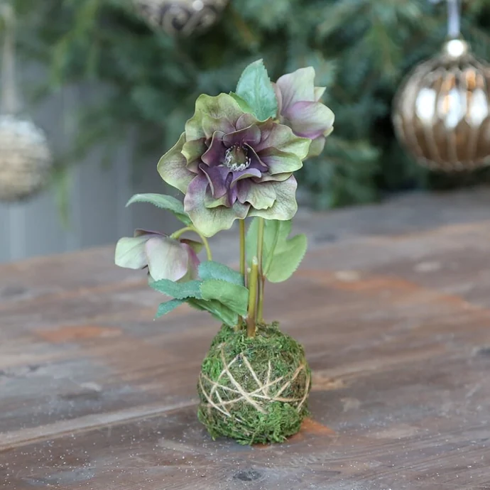 Chic Antique / Dekorativní květina Hellebores Mossball 22 cm