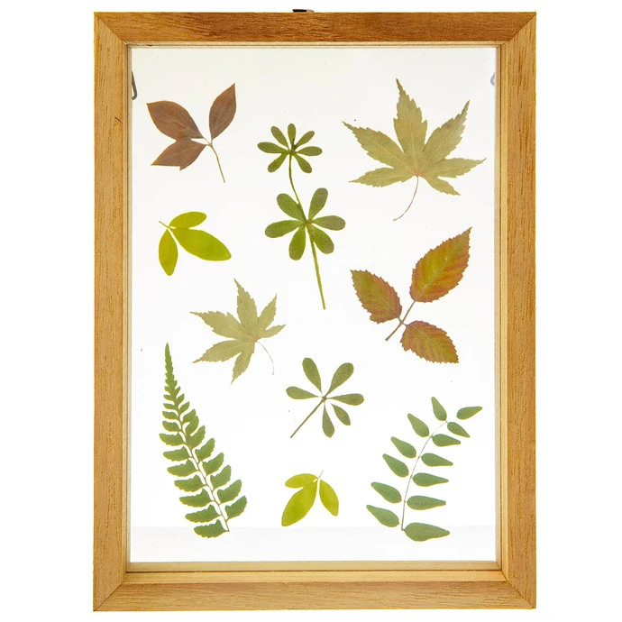 sass & belle / Drevený rámček Herbarium Floating Leaves