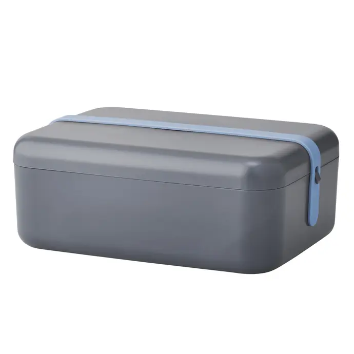 RIG-TIG / Chladící lunchbox Keep-it cool