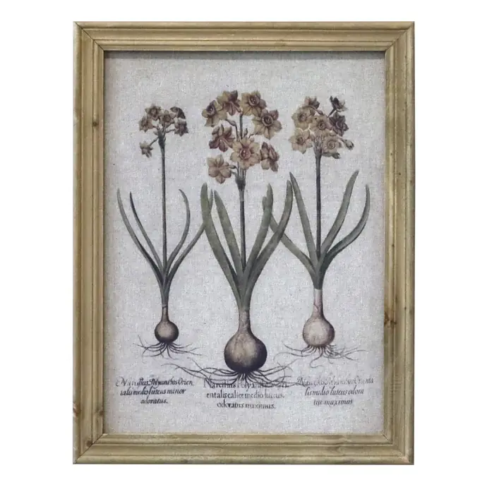 Chic Antique / Botanický obraz v rámu Floral Print 43x33 cm