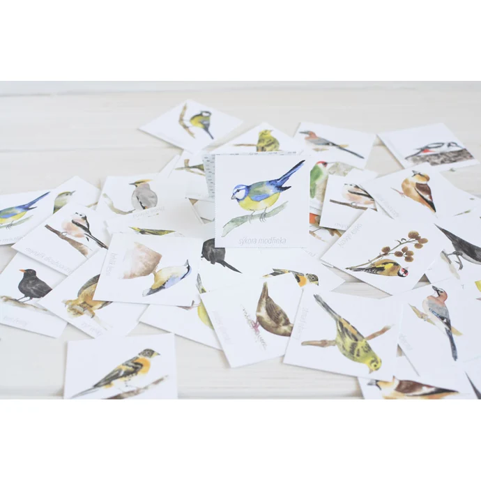 MANKAI Paper / Papierové pexeso Vtáčiky z našich kŕmidiel