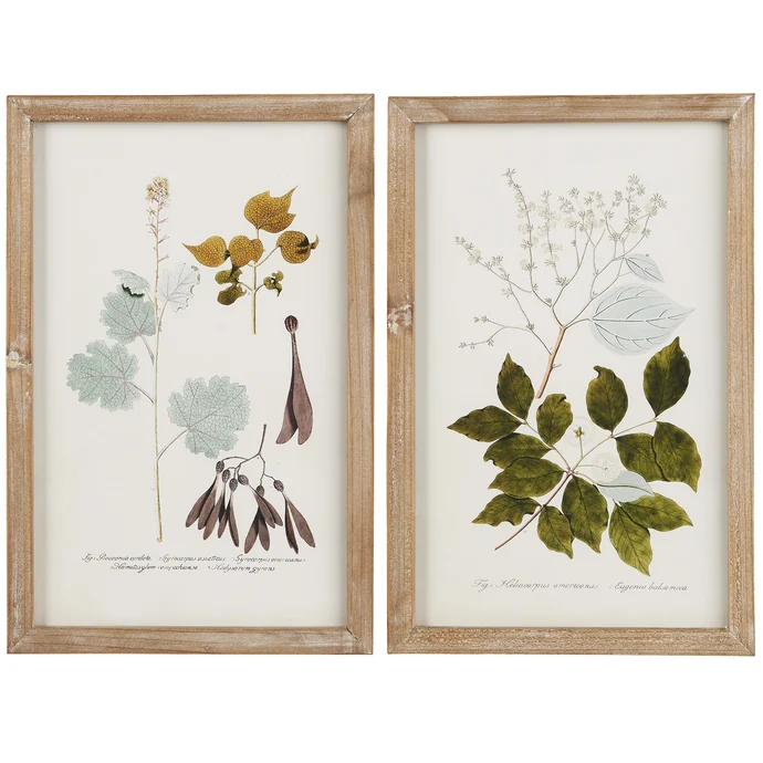 IB LAURSEN / Obraz v ráme Plant Motifs 25 x 38 cm