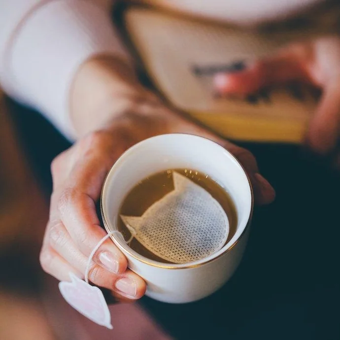 TEA HERITAGE / Zelený čaj s jazmínom Sachets Chats 5 ks