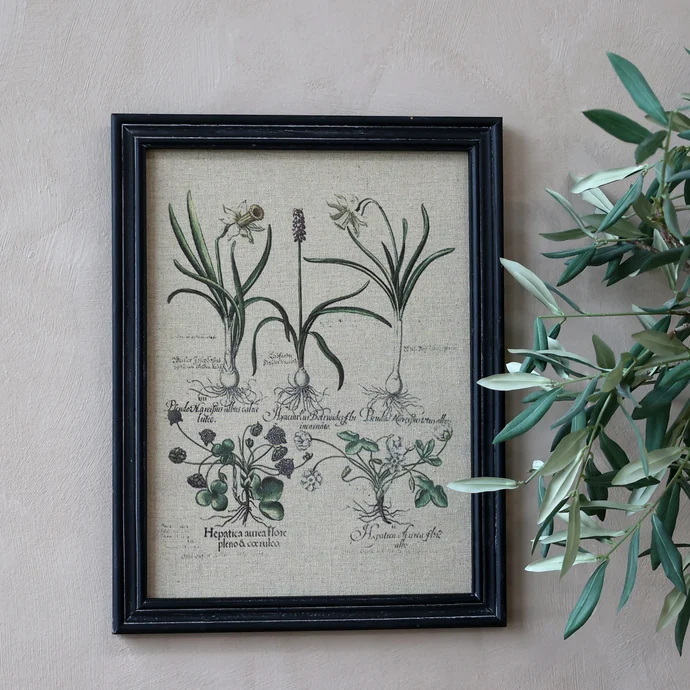 Chic Antique / Botanický obraz v ráme Plants 43x33cm