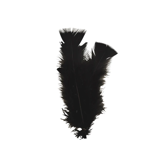 MADAM STOLTZ / Dekoratívne pierka Black - 10ks