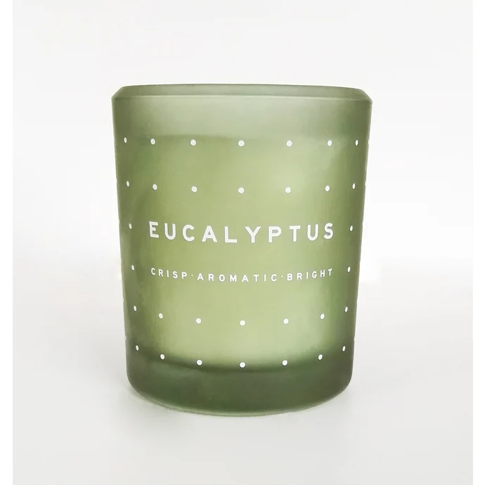 dw HOME / Vonná svíčka ve skle Eucalyptus 371g
