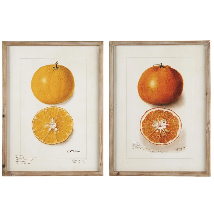 IB LAURSEN / Obraz v rámu Citrus Fruits 45 x 60 cm