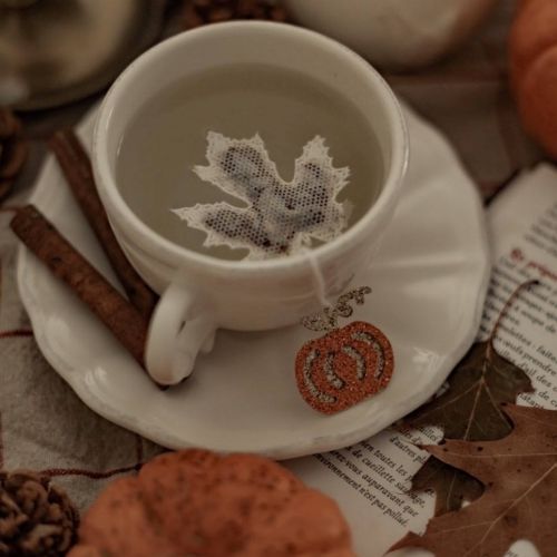 TEA HERITAGE / Ochutený čierny čaj Maple Leaf Pumpkin Chai 5 ks