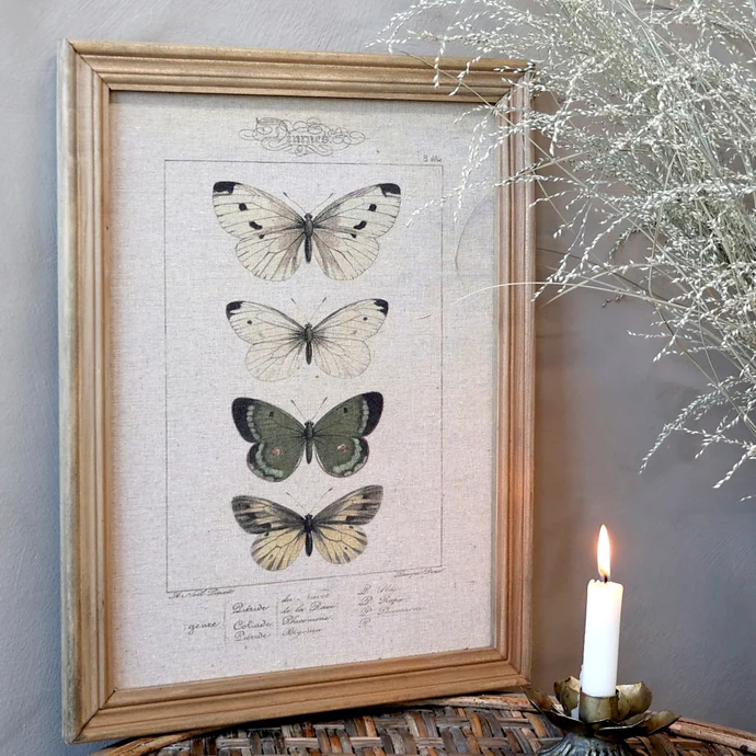 Chic Antique / Botanický obraz v ráme Butterflies 43x33 cm