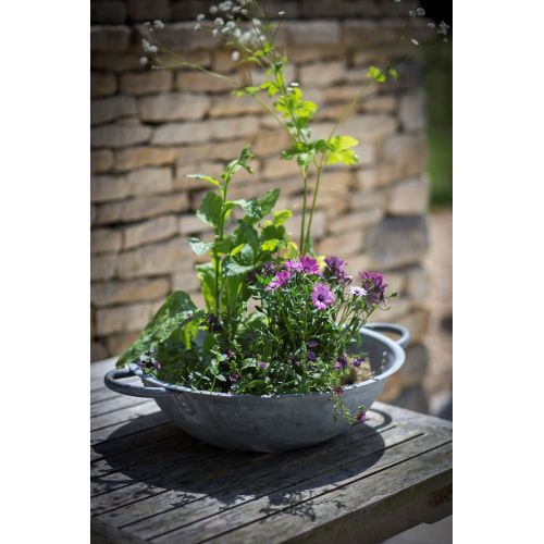 Garden Trading / Zinkový květináč/chladič Bibury 59 cm