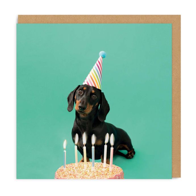 Ohh Deer / Prianie k narodeninám Scout Party Hat