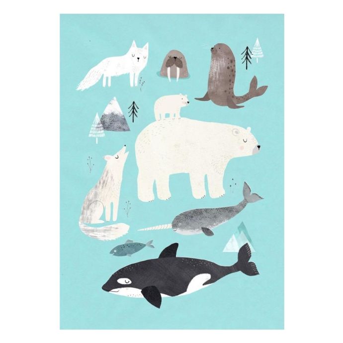 PETIT MONKEY / Plagát Artic animals 50 x 70 cm