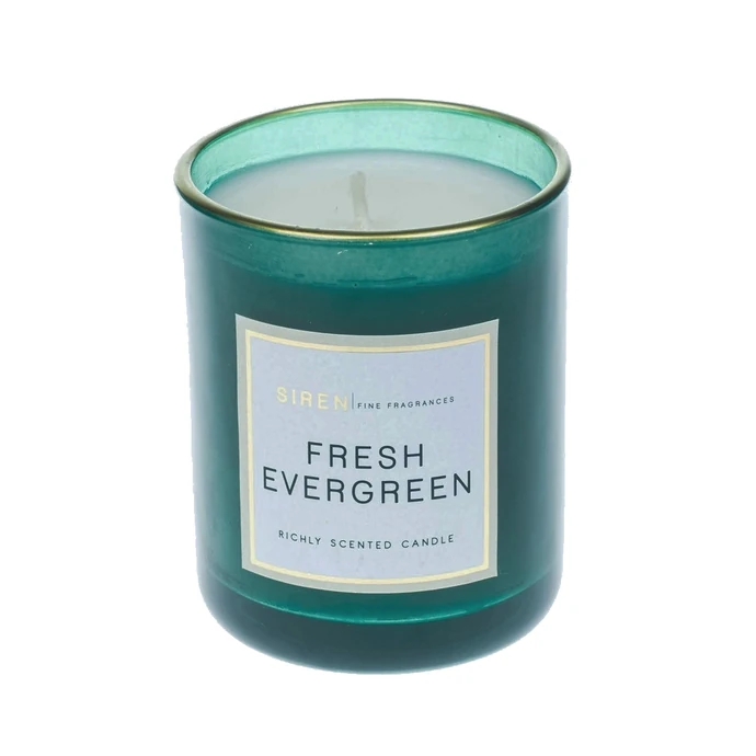 dw HOME / Vonná sviečka Siren - Fresh Evergreen 107g