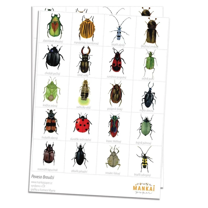 MANKAI Paper / Papírové pexeso Beetles