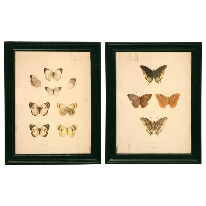 IB LAURSEN / Obrázok v drevenom ráme Butterflies