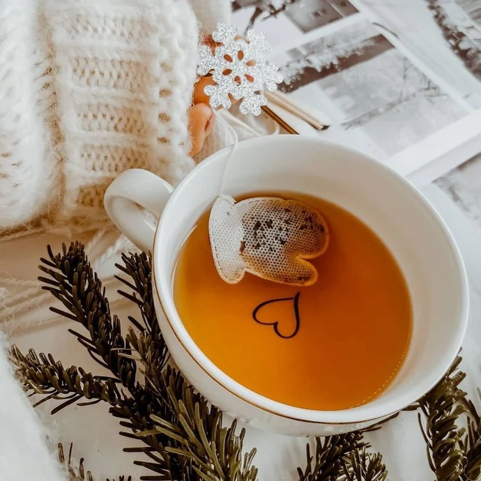 TEA HERITAGE / Čaj rooibos s pomarančom Glove 5 ks