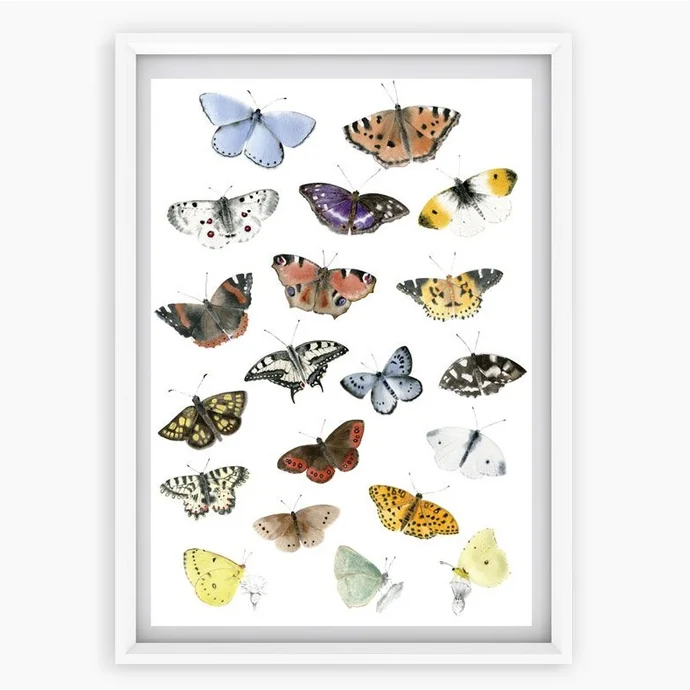 MANKAI Paper / Plakát Denní Motýli A3