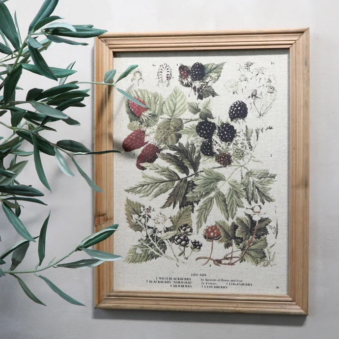 Chic Antique / Botanický obraz v rámu Berries 43x33cm