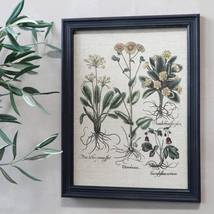 Chic Antique / Botanický obraz v rámu Flowers 43x33cm