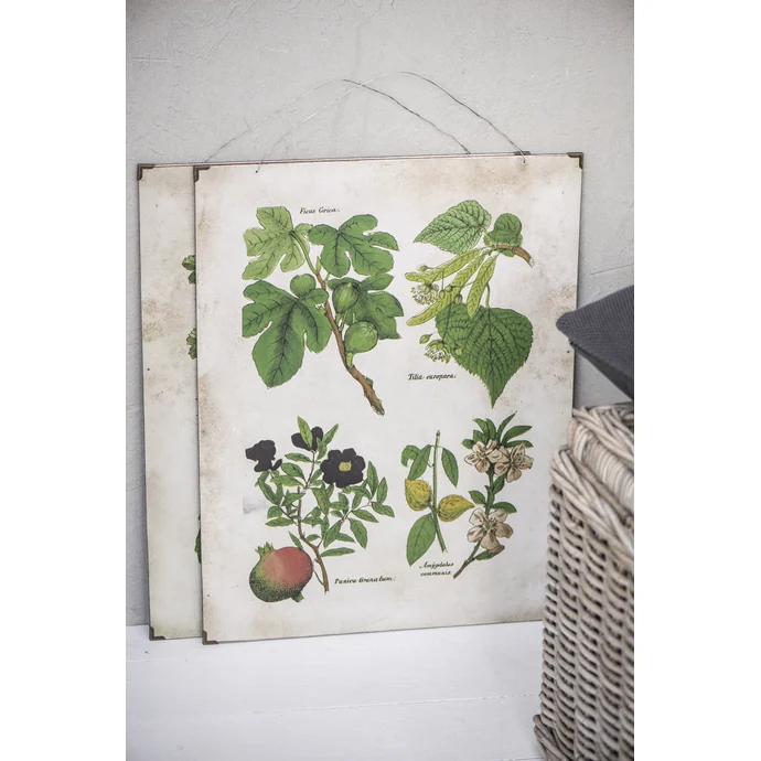 IB LAURSEN / Botanický obraz Fig and fruits 46x60 cm