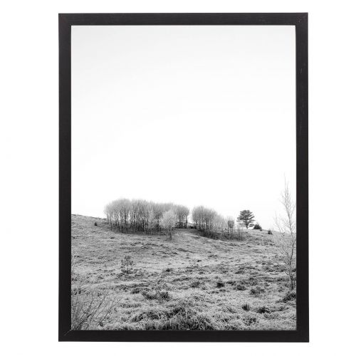 Bloomingville / Obraz v ráme Black 32×42 cm