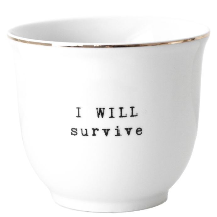 Bella Rose / Porcelánový obal na kvetináč I will survive 13 cm