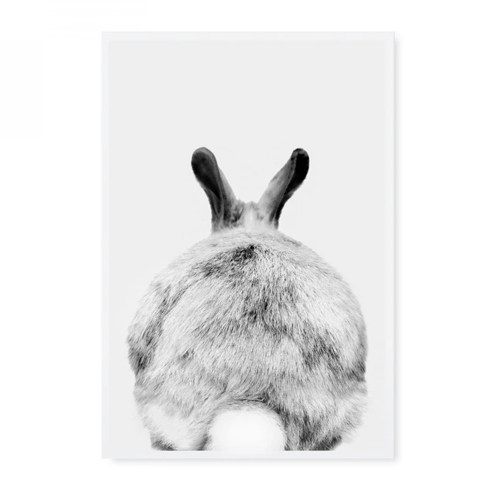 TAFELGUT / Pohľadnica Rabbit
