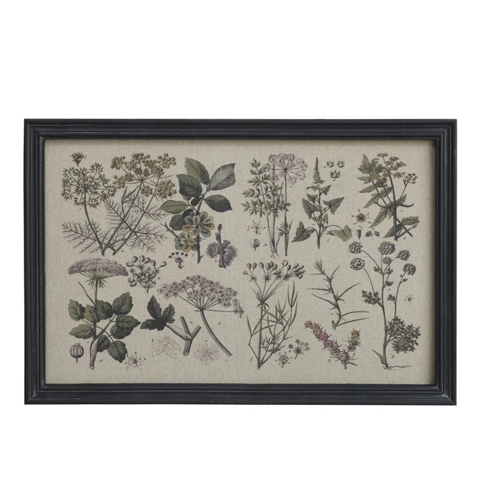 Chic Antique / Botanický obraz v ráme Floral 40x60cm