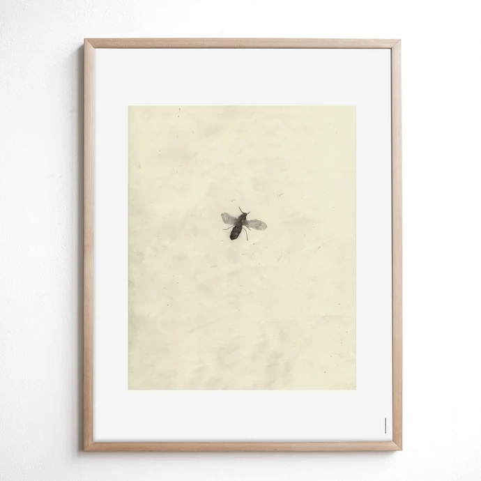 Fine Little Day / Autorský plagát Fly by Brian McHenry 40 x 50 cm