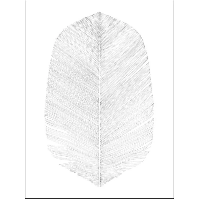 Magdalena Tyboni DESIGN / Plakát White Feather 50x70 cm