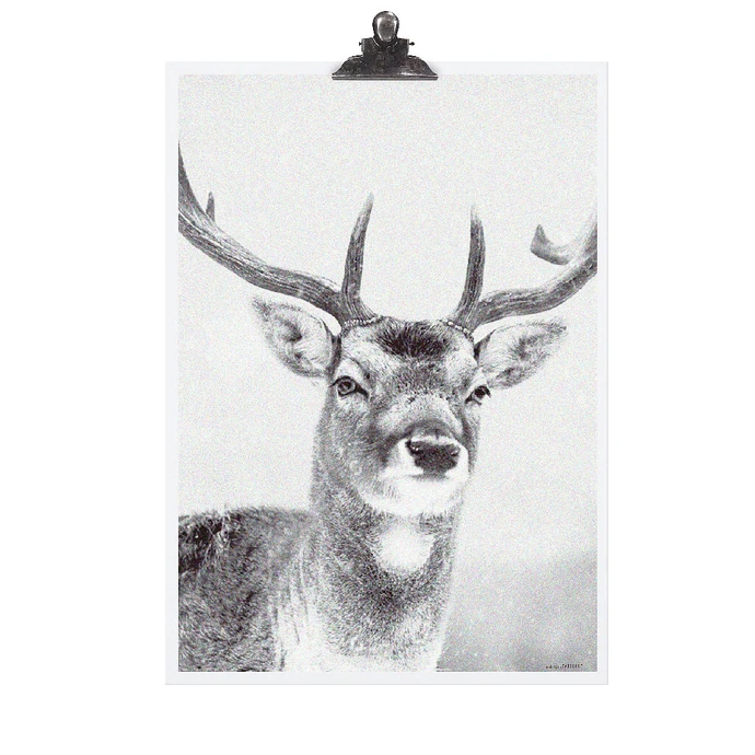 TAFELGUT / Plakát Deer 30x42 cm