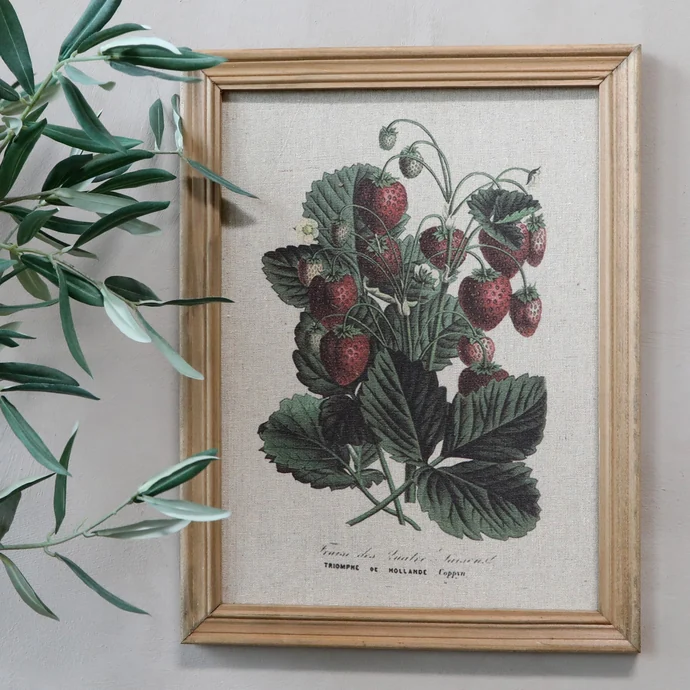 Chic Antique / Botanický obraz v ráme Strawberry 43x33cm