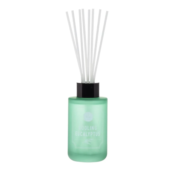dw HOME / Vonný difuzér Eucalyptus 100 ml