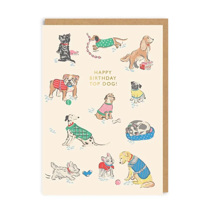 Cath Kidston / Blahoželanie k narodeninám Top Dog