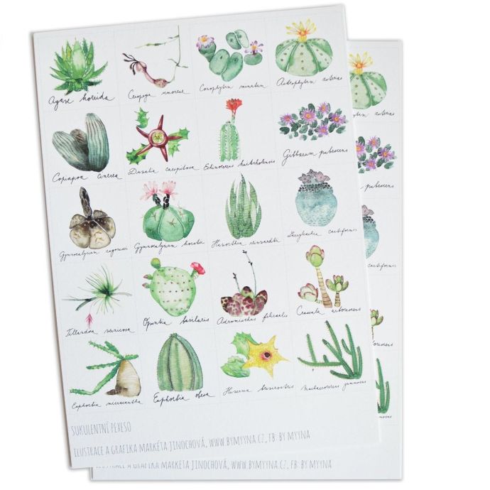 MANKAI Paper / Papírové pexeso Verdant Succulents