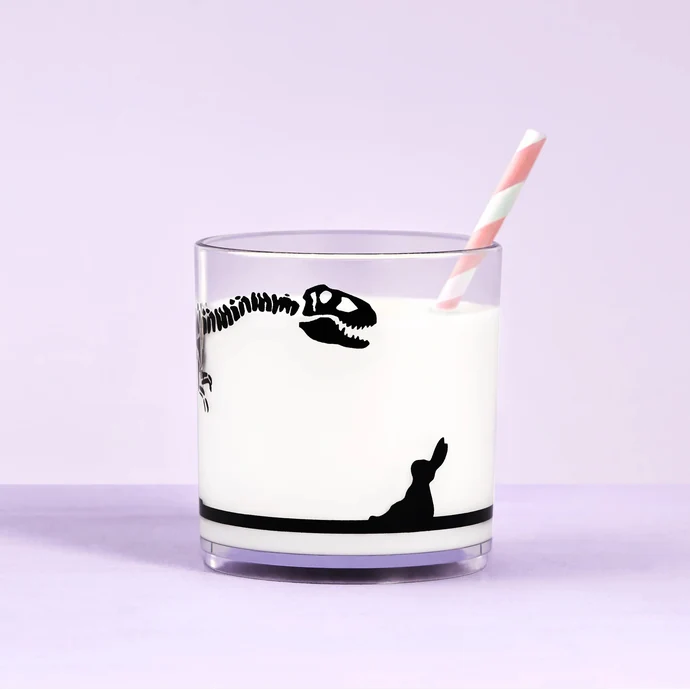 HAM / Plastová sklenice Dinosaur 250 ml
