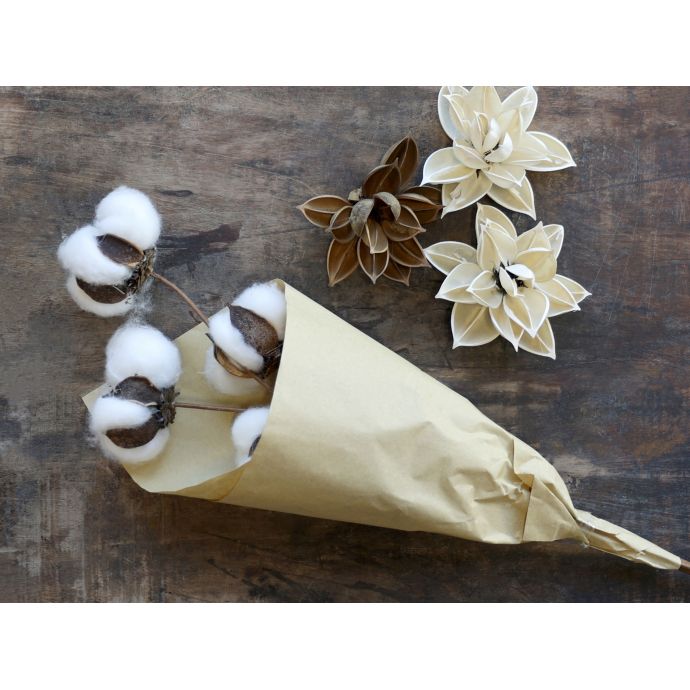Dekorativní sušené květy Cotton Flowers 50 cm
